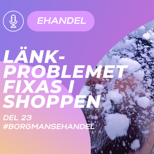 Del-23-borgmansehandel-Thumbnail-Instagram-Post