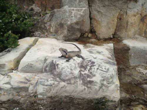 Foto-2014-10-27-12-27-47