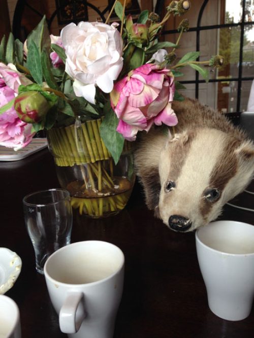 Foto-2015-06-28-14-52-22