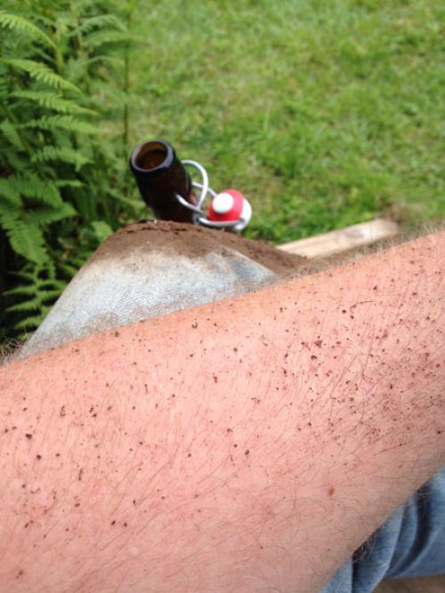 Foto-2015-07-12-15-46-59