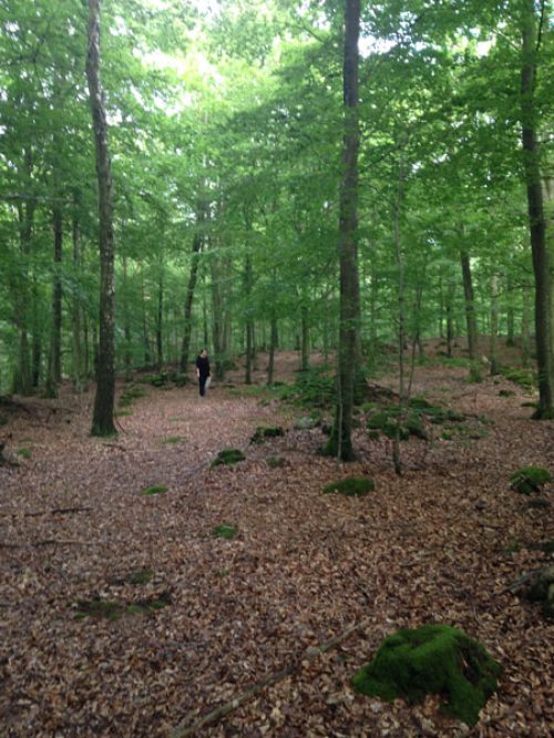 Foto-2015-07-20-19-16-33