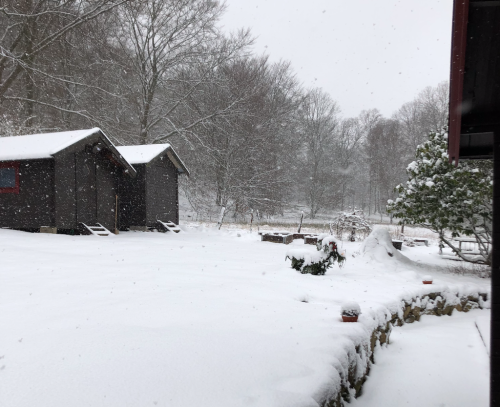 Screenshot 2019-01-27 at 15.30.47