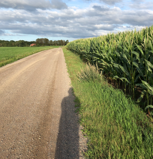 Screenshot-2019-10-05-at-16.49.10